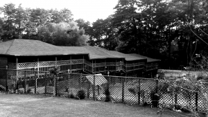casa-diseño-americano-edificio-de-madera-centro-de-retiros-oscuro