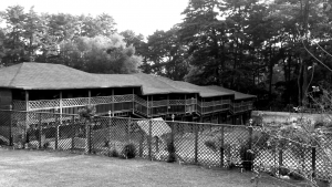 casas-diseño-americano-edificio-de-madera-centro-de-retiros-gris